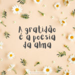 mensagem bonita sobre gratidão